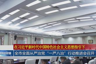 全市全面从严治党“一严八治”行动推进会召开