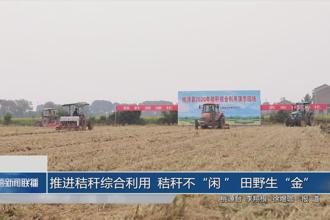 推进秸秆综合利用 秸秆不“闲”田野“金”