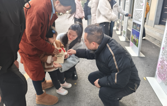 元宵普法传文脉 非遗普法两相融 ——武陵区文旅体局开展文化遗产保护宣传活动