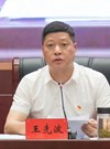 王先波